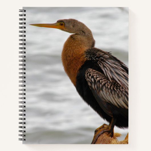 Anhinga On The Lookout Notitieboek (Voorkant)