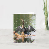 Anhinga Photo Folded Note Kaart (Voorkant)