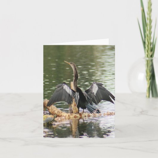 Anhinga Photo Folded Note Kaart (Voorkant)