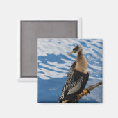 Anhinga Photo Square Magnet (Voorkant / Achterkant)