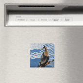 Anhinga Photo Square Magnet (Insitu (Vaatwasser))