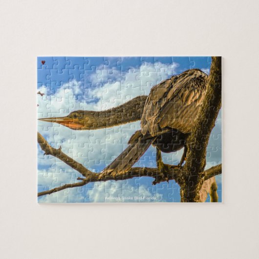 Anhinga Slangenhalsvogel Florida Legpuzzel (Horizontaal)