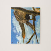 Anhinga Slangenhalsvogel Florida Legpuzzel (Verticaal)