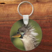 Anhinga Sleutelhanger (Voorkant)