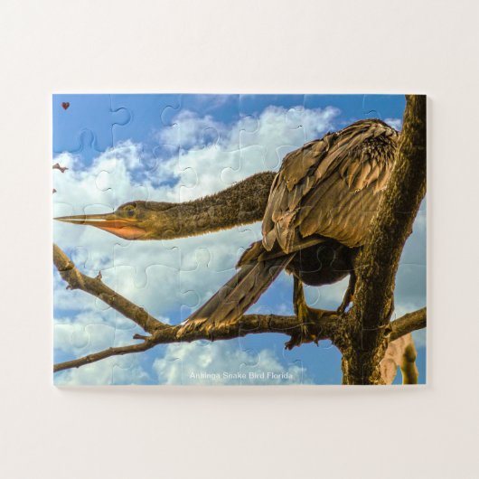 Anhinga Snake Bird Florida Legpuzzel (Horizontaal)
