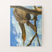 Anhinga Snake Bird Florida Legpuzzel (Verticaal)