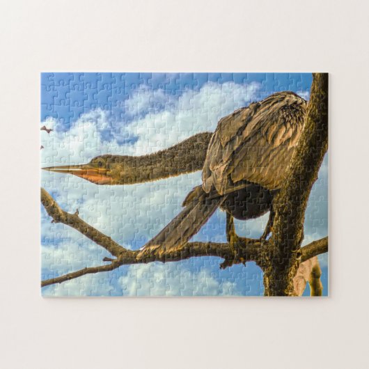Anhinga Snakebird. Legpuzzel (Horizontaal)
