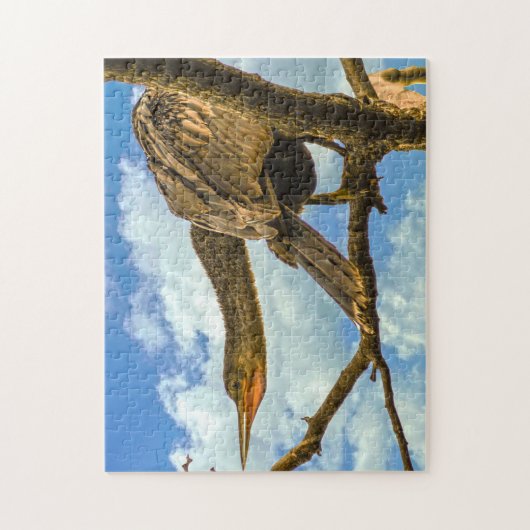 Anhinga Snakebird. Legpuzzel (Verticaal)