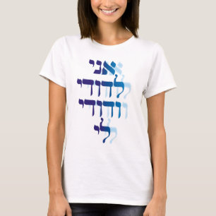 Ani Le'dodi Ve'Dodi Li Blue T-shirt
