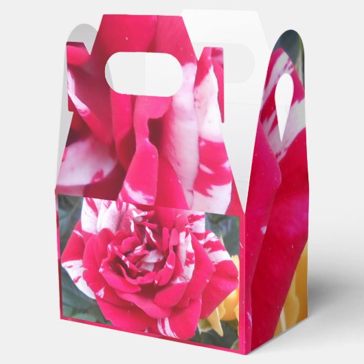 Anicia Bedankdoosjes (Geopend)