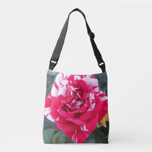 Anicia Crossbody Tas (Voorkant)