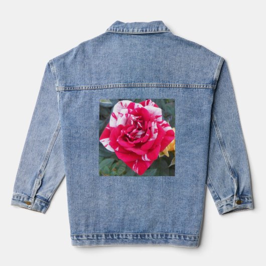 Anicia Denim Jacket (Achterkant)