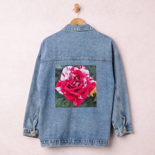 Anicia Denim Jacket (Hangar)