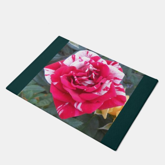 Anicia Deurmat (Schuin)