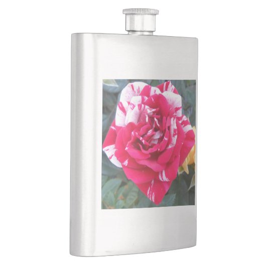 Anicia Flacon (Rechts)