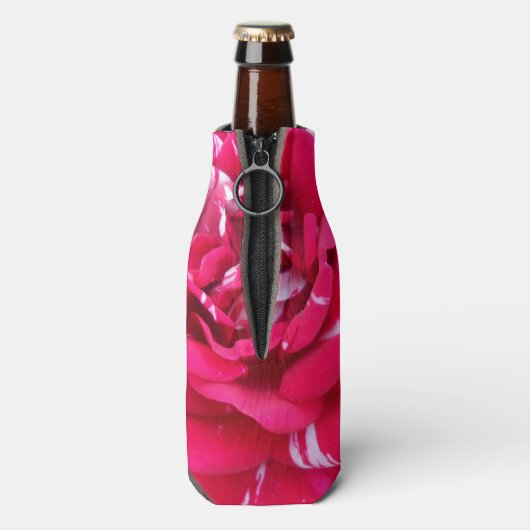 Anicia Flesjeskoeler (Fles Achterkant)