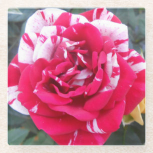 Anicia Glazen Onderzetter