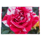 Anicia Groot Cadeauzakje (Voorkant)