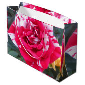 Anicia Groot Cadeauzakje (Achterkant Gekanteld)