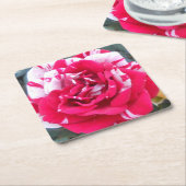 Anicia Kartonnen Onderzetters (Schuin)