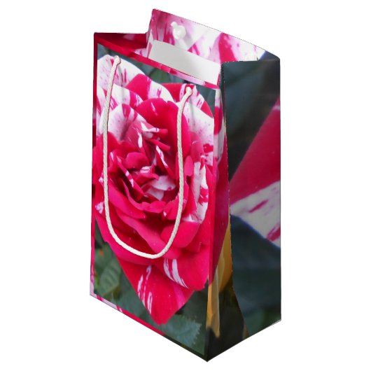 Anicia Klein Cadeauzakje (Voorkant Gekanteld)