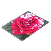 Anicia Notitieboek (Linkerzijde)