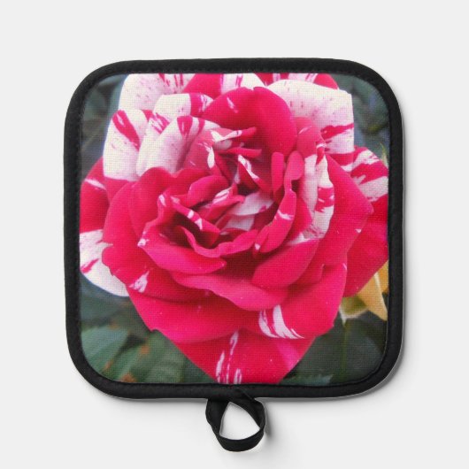 Anicia Pannenlap (Voorkant)