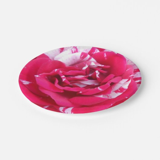 Anicia Papieren Bordje (Gekanteld)