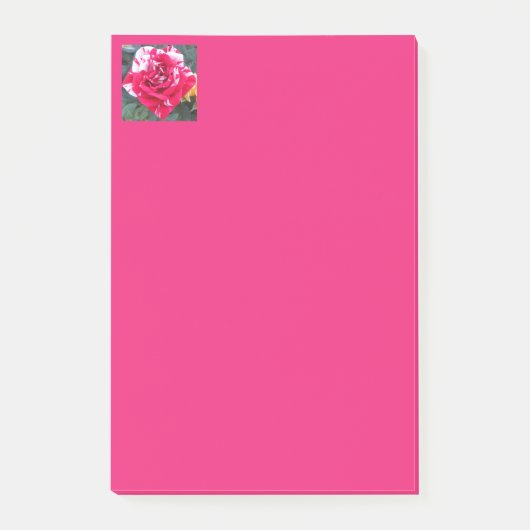 Anicia Post-it® Notes (Voorkant)