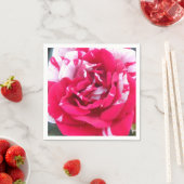 Anicia Servetten (Insitu)