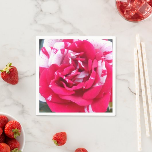 Anicia Servetten (Insitu)