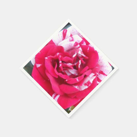 Anicia Servetten (Hoek)