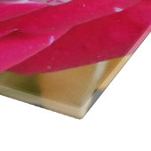 Anicia Snijplank (Hoek)