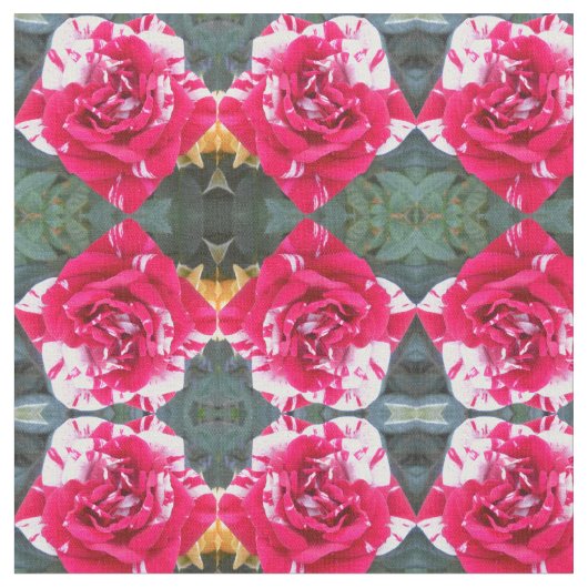 Anicia Stof (Close Up)