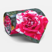 Anicia Stropdas (Opgerold)