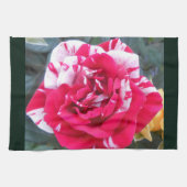 Anicia Theedoek (Horizontaal)