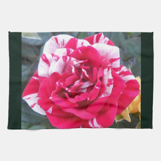 Anicia Theedoek (Horizontaal)