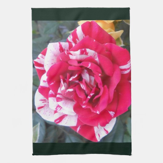 Anicia Theedoek (Verticaal)