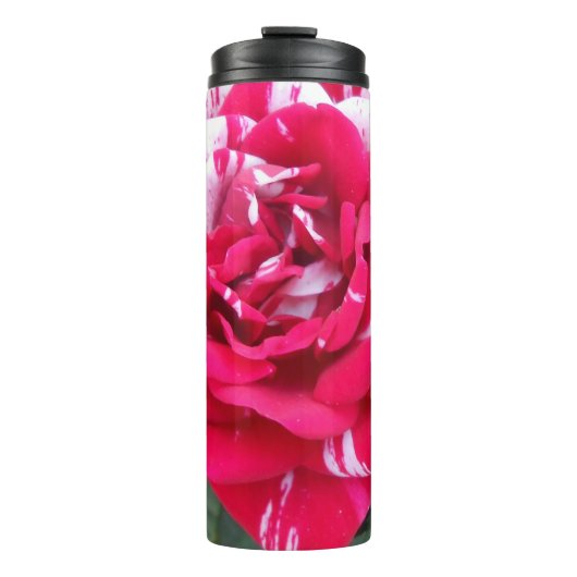 Anicia Thermosbeker (Voorkant)