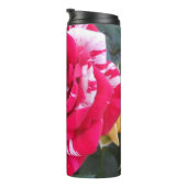 Anicia Thermosbeker (Geroteerd rechts)