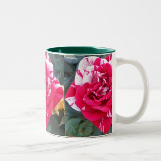 Anicia Tweekleurige Koffiemok (Rechts)