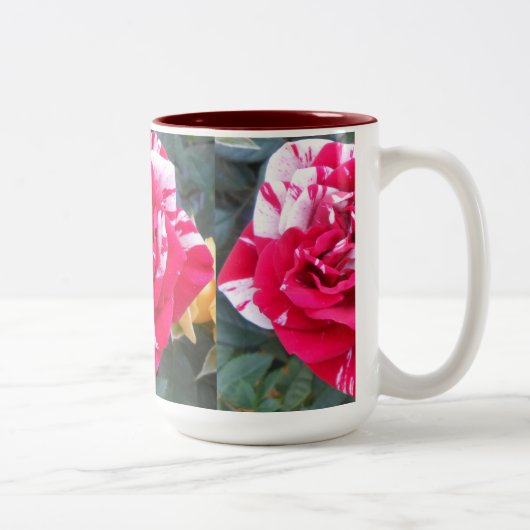 Anicia Tweekleurige Koffiemok (Rechts)