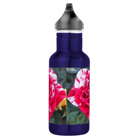 Anicia Waterfles (Rechts)