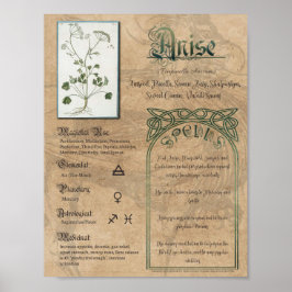 Anijs Kruidige Book of Shadows Pagan Wiccan Poster