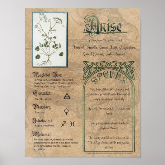 Anijs Kruidige Book of Shadows Pagan Wiccan Poster (Voorkant)