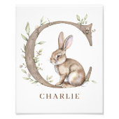 Animal Alphabet Letter C Kids Name Bunny Poster (Voorkant)