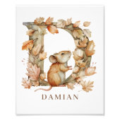 Animal Alphabet Letter D Kids Name Mouse Poster (Voorkant)