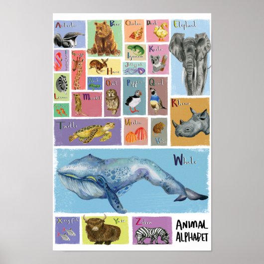 Animal Alphabet Poster (Voorkant)