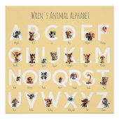 Animal Alphabet Poster (Voorkant)