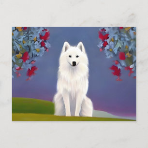Animal American Eskimo Briefkaart